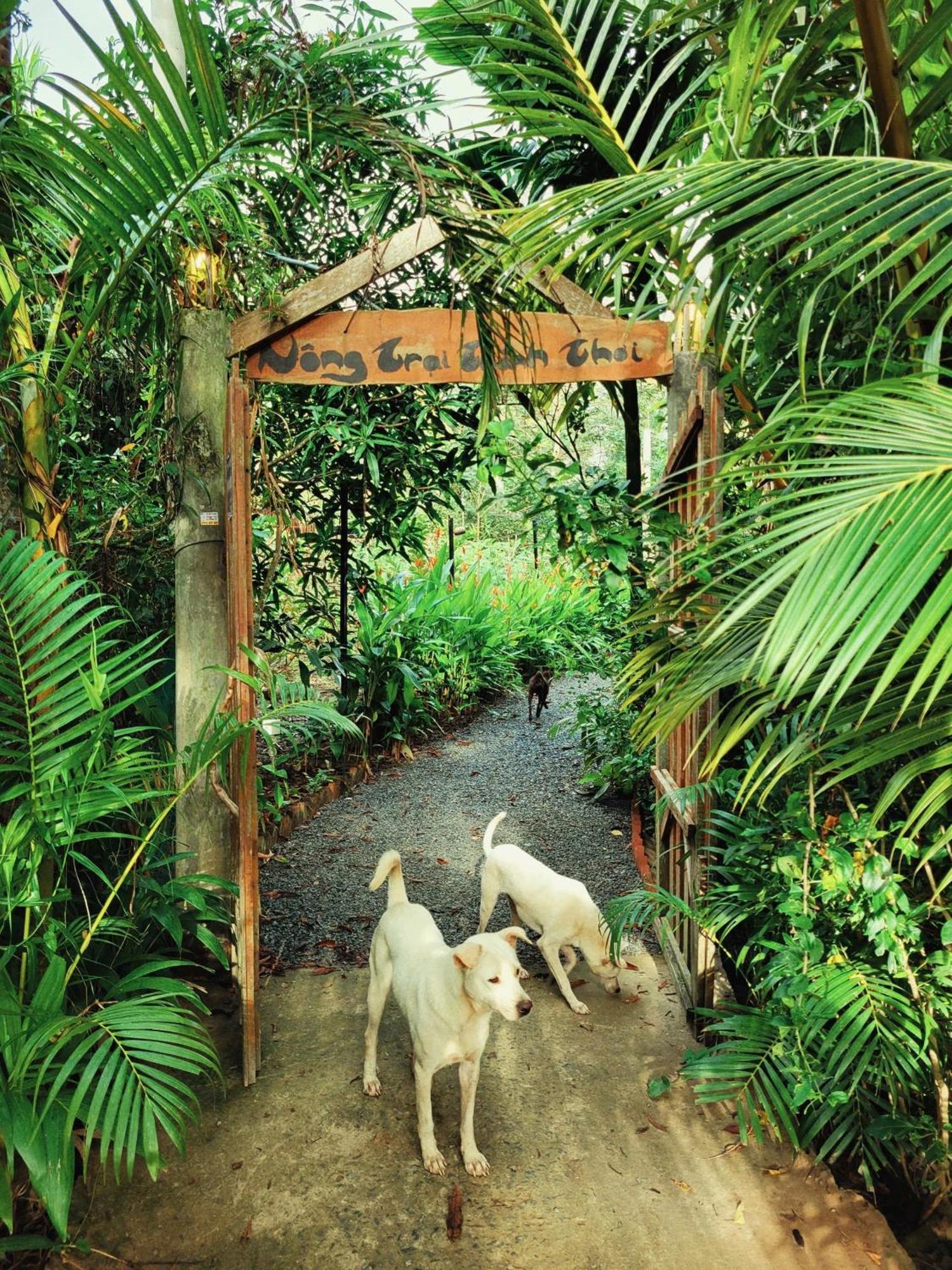 Nong Trai Thanh Thoi Ben Tre Dış mekan fotoğraf